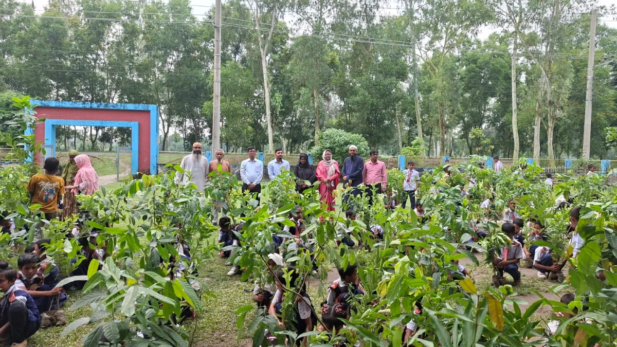 তেঁতুলিয়ায় বাবার স্মরণে সাইফুল  প্রযুক্তি নার্সারীর    গাছের চারা বিতরন  খাদেমুল ইসলাম