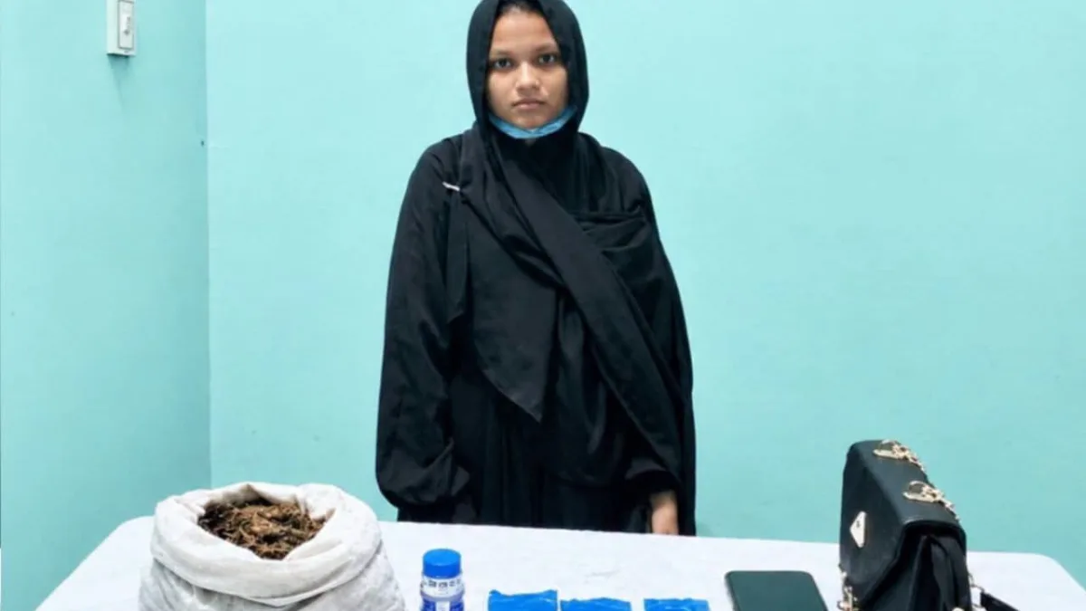 চাটখিলে বিএনপি'র অভিযানে ৬৯০পিচ ইয়াবা,৩০০গ্রাম গাঁজা উদ্ধার, গ্রেফতার-১