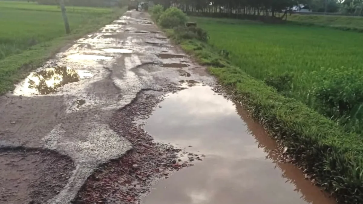 সংস্কারের অভাবে চলাচলের অনুপযোগী শাহবাজপুর -  কুমারশাইল সড়ক