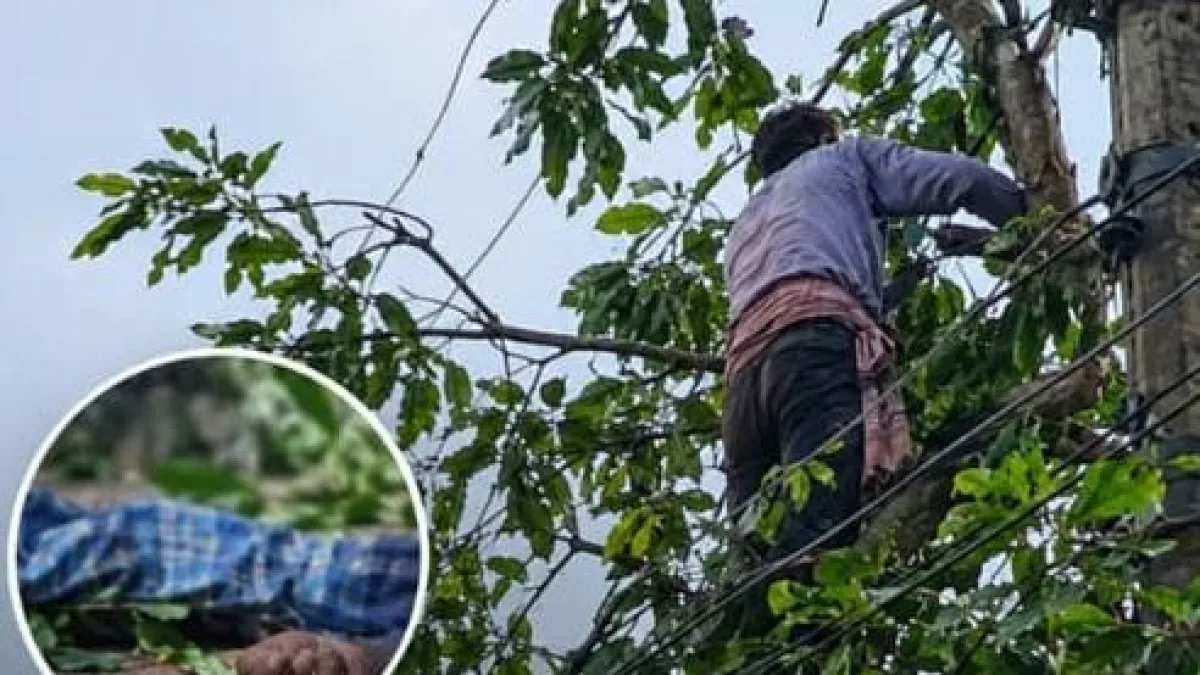 পটিয়ায় বিদ্যুৎ স্পৃষ্ট হয়ে এলিন বড়ুয়ার করুণ মৃত্যু।
