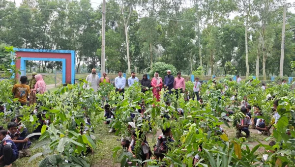 তেঁতুলিয়ায় বাবার স্মরণে সাইফুল  প্রযুক্তি নার্সারীর    গাছের চারা বিতরন  খাদেমুল ইসলাম
