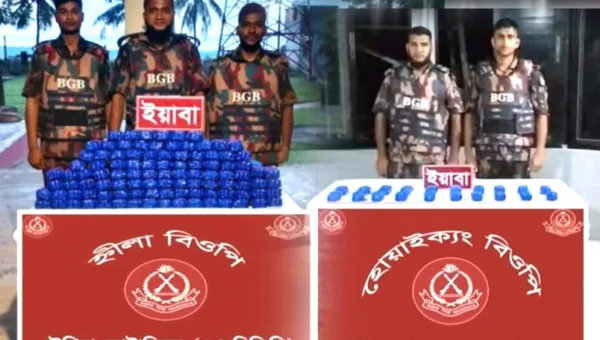 টেকনাফে বিজিবির পৃথক অভিযানে ৪ লাখ ৪০ হাজার ইয়াবা উদ্ধার