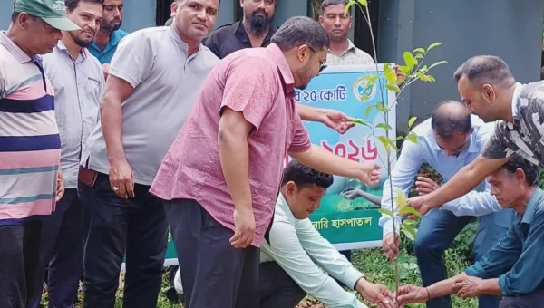 কমলগঞ্জে প্রাণিসম্পদ দপ্তরের উদ্যোগে বৃক্ষরোপণ কর্মসূচি