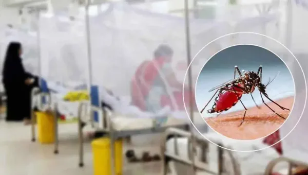 ডেঙ্গুতে একদিনে ৯ জনের মৃত্যু আতঙ্কে সাধারণ মানুষ
