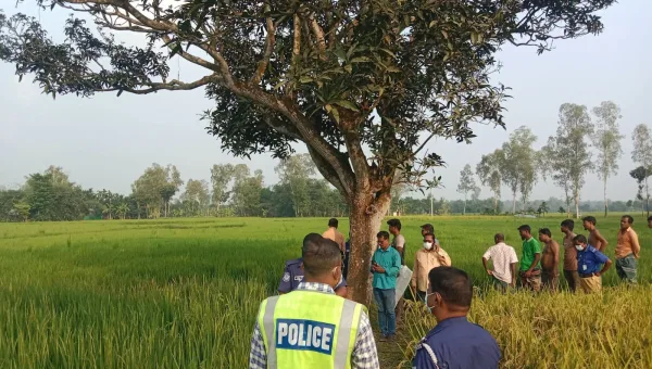 দিনাজপুর বীরগঞ্জে ধানক্ষেত থেকে কিশোরের অর্ধগলিত মরদেহ উদ্ধার।