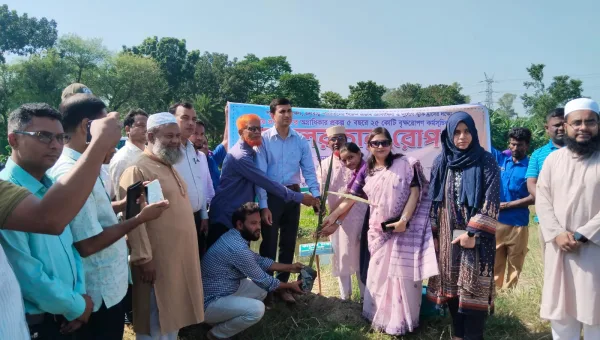 বজ্রপাতের ঝুঁকি কমাতে ফরিদপুরে ৪০ হাজার তালবীজ রোপণের উদ্যোগ