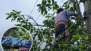 পটিয়ায় বিদ্যুৎ স্পৃষ্ট হয়ে এলিন বড়ুয়ার করুণ মৃত্যু।
